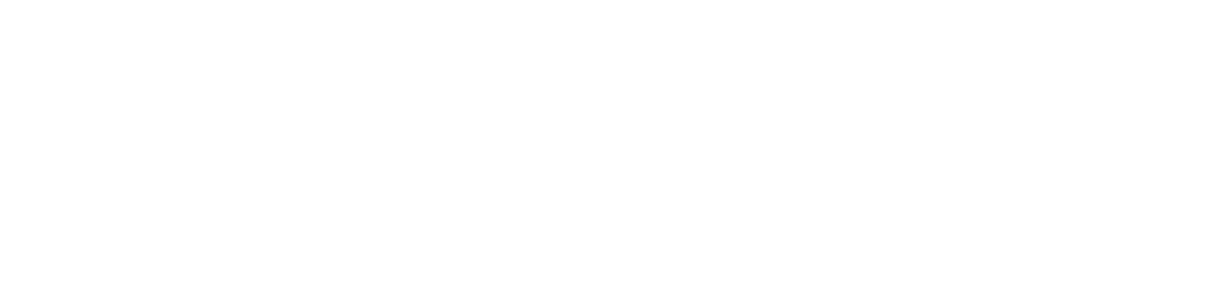 Sentinel Protective Services